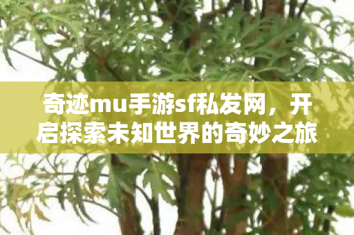 奇迹mu手游sf私发网,开启探索未知世界的奇妙之旅 奇迹mu手游sf私发网,开启探索未知世界的奇妙之旅