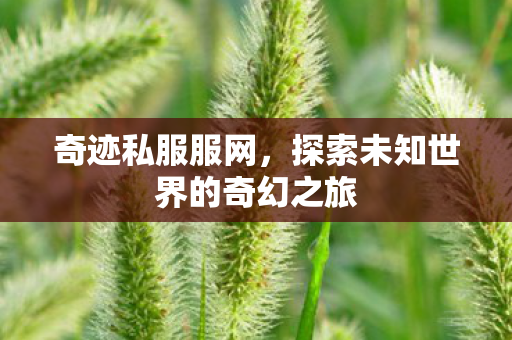 奇迹私服服网,探索未知世界的奇幻之旅 奇迹私服服网,探索未知世界的奇幻之旅