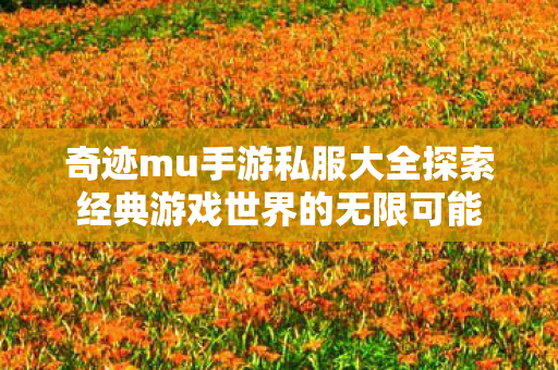 奇迹mu手游私服大全探索经典游戏世界的无限可能 奇迹mu手游私服大全探索经典游戏世界的无限可能