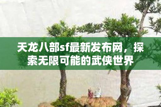 天龙八部sf最新发布网，探索无限可能的武侠世界