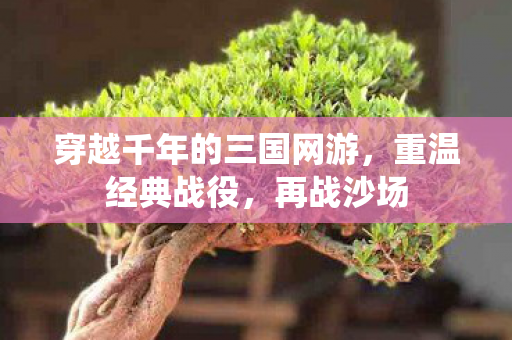 穿越千年的三国网游图片