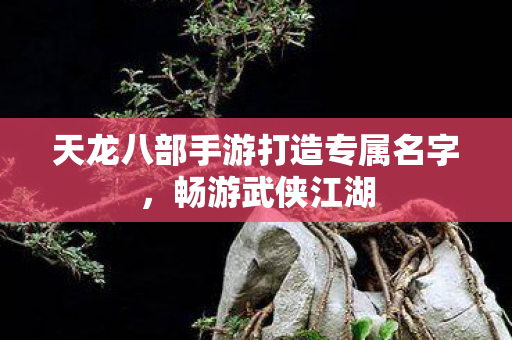 天龙八部手游打造专属名字,畅游武侠江湖 天龙八部手游打造专属名字,畅游武侠江湖