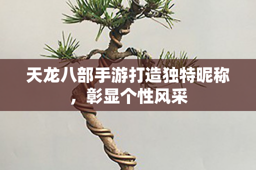 天龙八部手游打造独特昵称,彰显个性风采 天龙八部手游打造独特昵称,彰显个性风采
