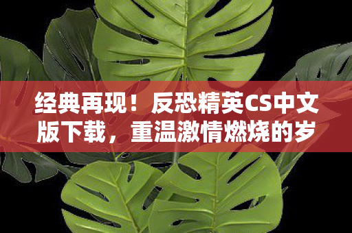经典再现!反恐精英CS中文版下载,重温激情燃烧的岁月 经典再现!反恐精英CS中文版下载,重温激情燃烧的岁月