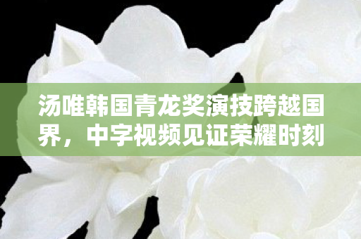 汤唯韩国青龙奖演技跨越国界,中字视频见证荣耀时刻 汤唯韩国青龙奖演技跨越国界,中字视频见证荣耀时刻