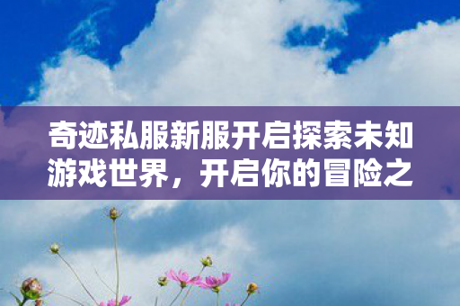 奇迹私服新服开启探索未知游戏世界，开启你的冒险之旅！