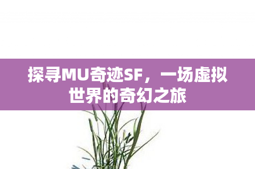 探寻MU奇迹SF，一场虚拟世界的奇幻之旅