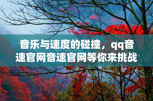 qq音速官网音速官网等你来挑战图片