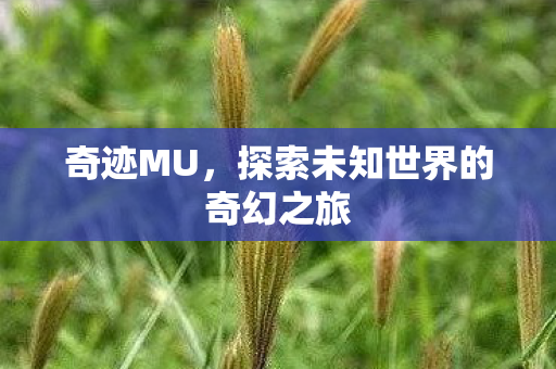 奇迹MU，探索未知世界的奇幻之旅