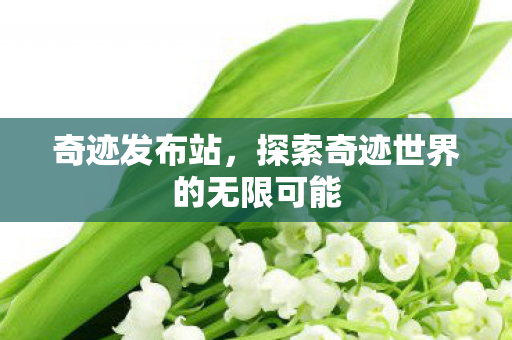 奇迹发布站，探索奇迹世界的无限可能