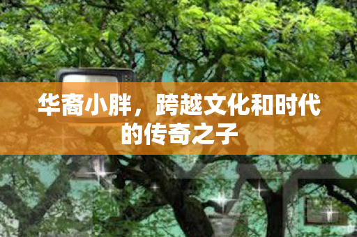 华裔小胖,跨越文化和时代的传奇之子 华裔小胖,跨越文化和时代的传奇之子