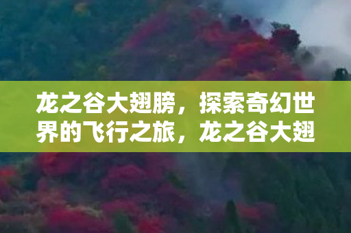 探索奇幻世界的飞行之旅图片