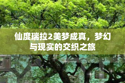 仙度瑞拉2美梦成真,梦幻与现实的交织之旅 仙度瑞拉2美梦成真,梦幻与现实的交织之旅