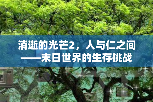 消逝的光芒2,人与仁之间——末日世界的生存挑战 消逝的光芒2,人与仁之间——末日世界的生存挑战