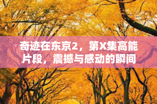 震撼与感动的瞬间图片