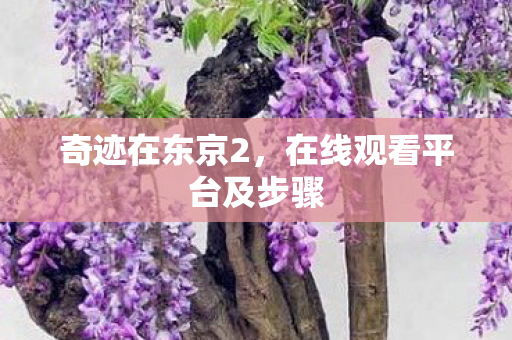在线观看平台及步骤图片