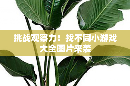 挑战观察力！找不同小游戏大全图片来袭