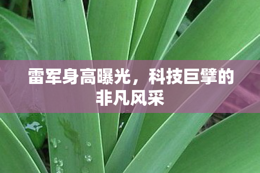 雷军身高曝光，科技巨擘的非凡风采