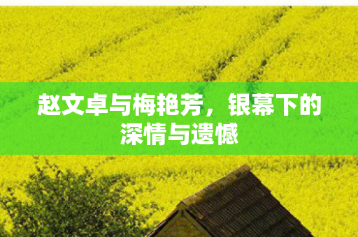 赵文卓与梅艳芳，银幕下的深情与遗憾