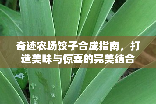 奇迹农场饺子合成指南,打造美味与惊喜的完美结合 奇迹农场饺子合成指南,打造美味与惊喜的完美结合