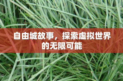 探索虚拟世界的无限可能图片