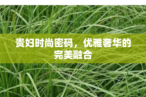 贵妇时尚密码,优雅奢华的完美融合 贵妇时尚密码,优雅奢华的完美融合
