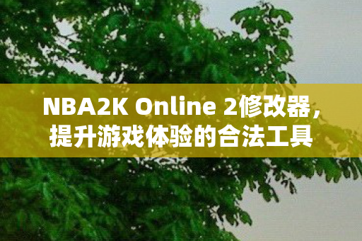 NBA2K Online 2修改器,提升游戏体验的合法工具 NBA2K Online 2修改器,提升游戏体验的合法工具