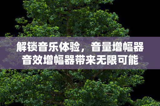 解锁音乐体验，音量增幅器音效增幅器带来无限可能