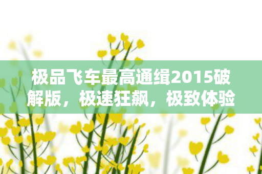 极品飞车最高通缉2015破解版，极速狂飙，极致体验等你来挑战！