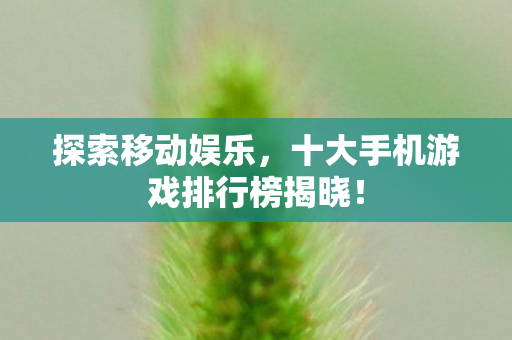 探索移动娱乐，十大手机游戏排行榜揭晓！