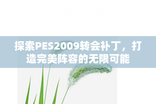 探索PES2009转会补丁,打造完美阵容的无限可能 探索PES2009转会补丁,打造完美阵容的无限可能