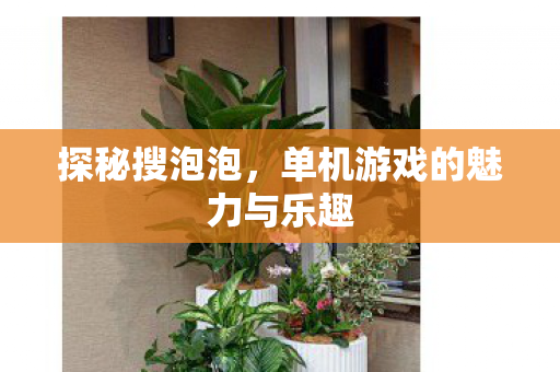 探秘搜泡泡,单机游戏的魅力与乐趣 探秘搜泡泡,单机游戏的魅力与乐趣