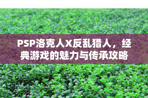 PSP洛克人X反乱猎人,经典游戏的魅力与传承攻略 PSP洛克人X反乱猎人,经典游戏的魅力与传承攻略