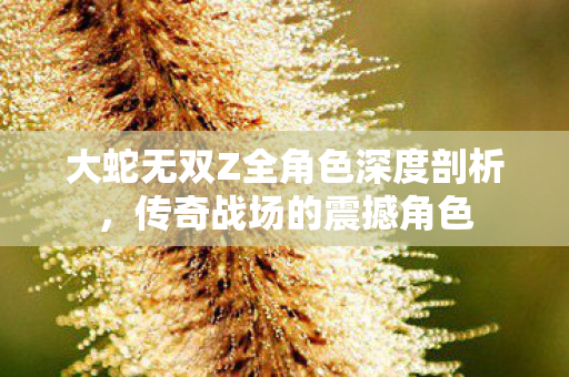 大蛇无双Z全角色深度剖析,传奇战场的震撼角色 大蛇无双Z全角色深度剖析,传奇战场的震撼角色