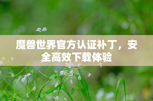 魔兽世界官方认证补丁,安全高效下载体验 魔兽世界官方认证补丁,安全高效下载体验