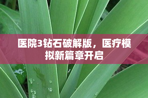 医院3钻石破解版，医疗模拟新篇章开启