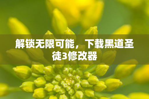 解锁无限可能，下载黑道圣徒3修改器