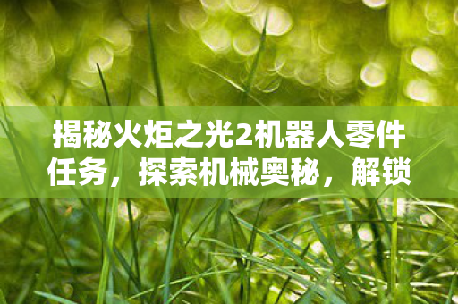 揭秘火炬之光2机器人零件任务，探索机械奥秘，解锁游戏新挑战