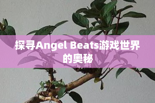 探寻Angel Beats游戏世界的奥秘