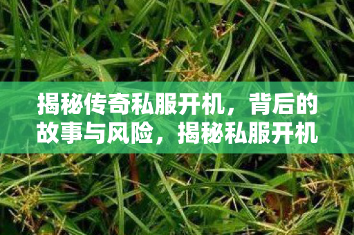 揭秘私服开机背后的故事与风险图片