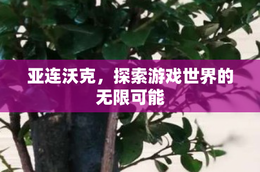 探索游戏世界的无限可能图片