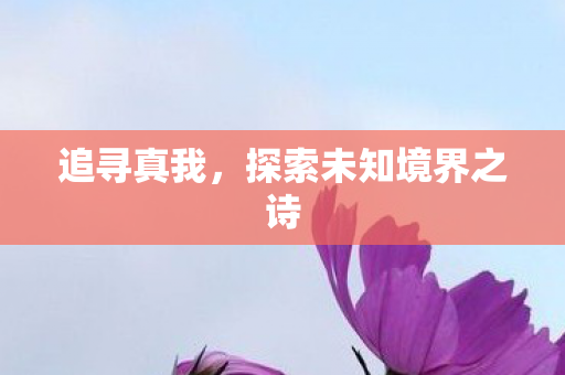 追寻真我,探索未知境界之诗 追寻真我,探索未知境界之诗