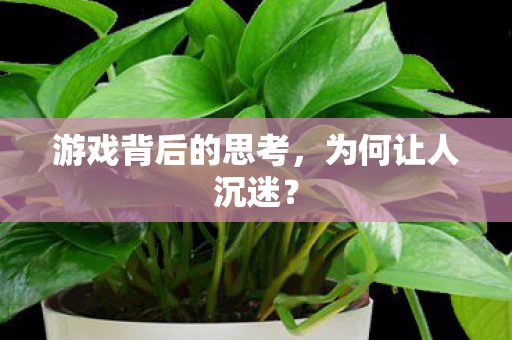游戏背后的思考,为何让人沉迷? 游戏背后的思考,为何让人沉迷?