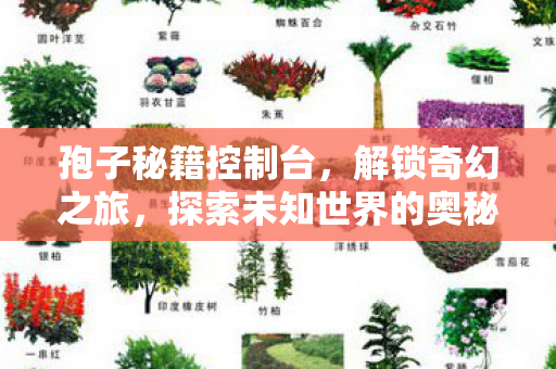 孢子秘籍控制台，解锁奇幻之旅，探索未知世界的奥秘