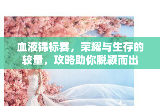 血液锦标赛,荣耀与生存的较量,攻略助你脱颖而出 血液锦标赛,荣耀与生存的较量,攻略助你脱颖而出