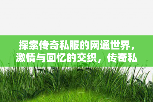 探索传奇私服的网通世界图片