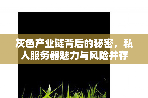灰色产业链背后的秘密，私人服务器魅力与风险并存