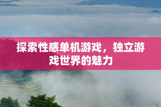 探索性感单机游戏,独立游戏世界的魅力 探索性感单机游戏,独立游戏世界的魅力