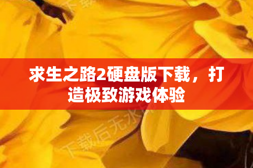 求生之路2硬盘版下载，打造极致游戏体验
