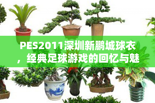 PES2011深圳新鹏城球衣，经典足球游戏的回忆与魅力